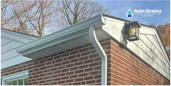 Gutter Cleaning