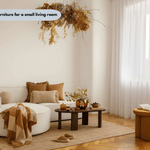 how to choose furniture for a small living room