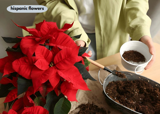 hispanic flowers